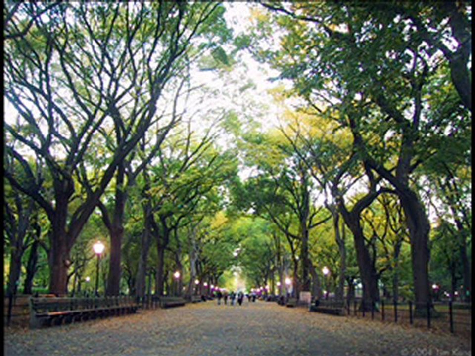 Personalized Gifts and Engraved Gifts