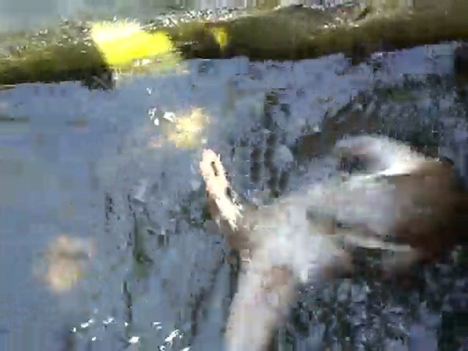 MOV02622
