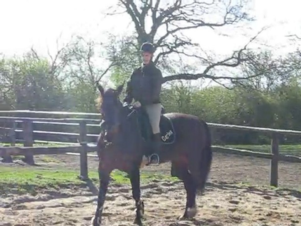 M + C Reiten Video