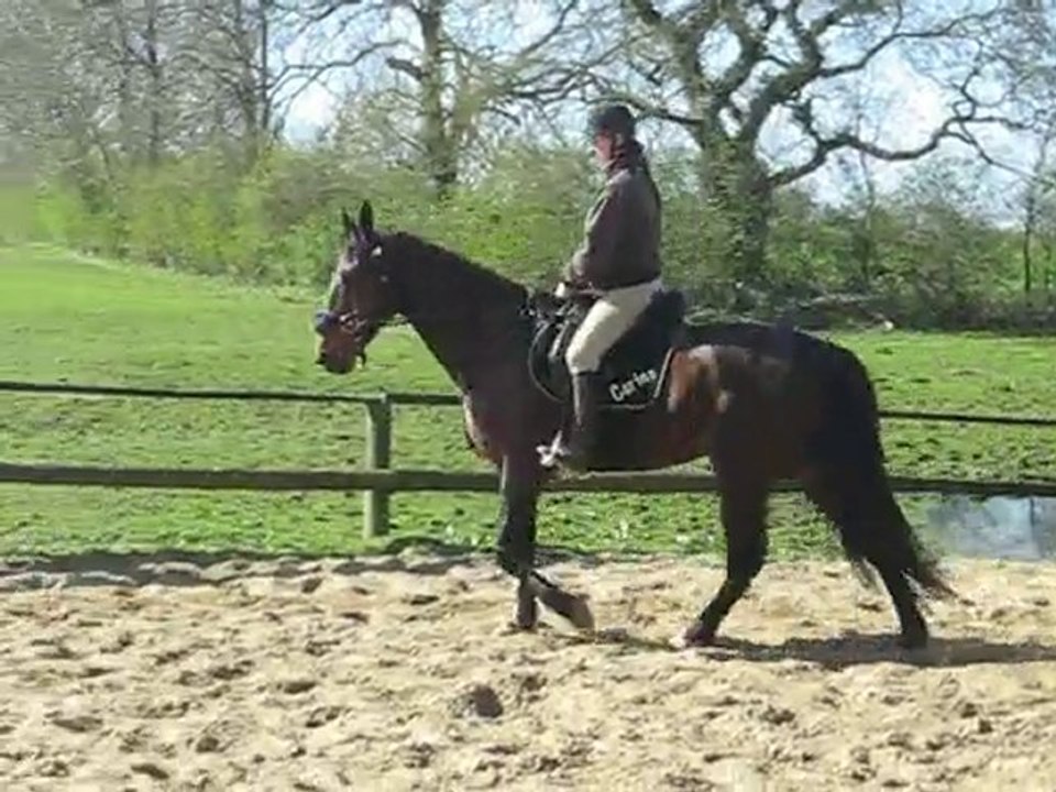 M + C Reiten Video 2