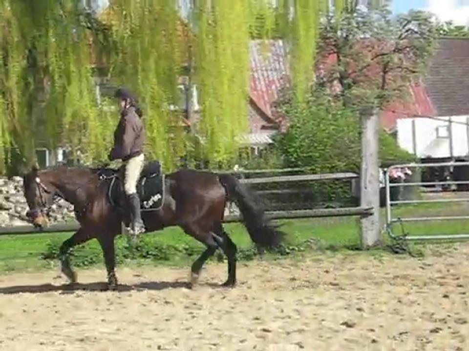 M + C Reiten Video 3
