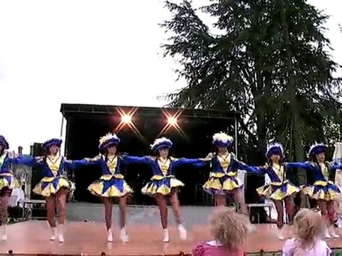 Jumelage Montlouis Appenweier - Fête à Thisseau - 15mai 2010