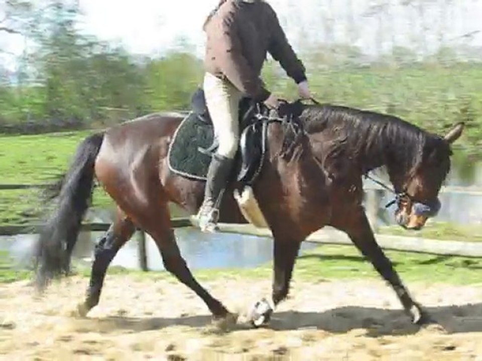 M + C Reiten Video 4