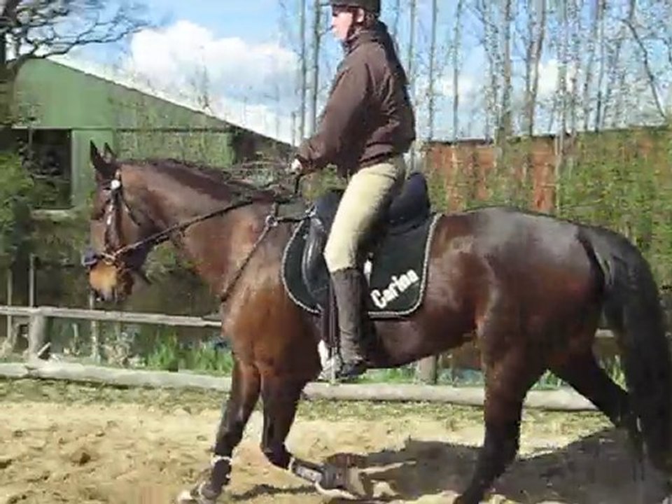 M + C Reiten Video 5