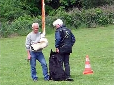 bawl des orckis de l'adret :defense du 16 mai 2010