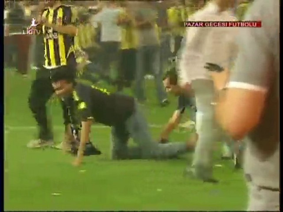 timsah yürüyüşü yapan ezikler