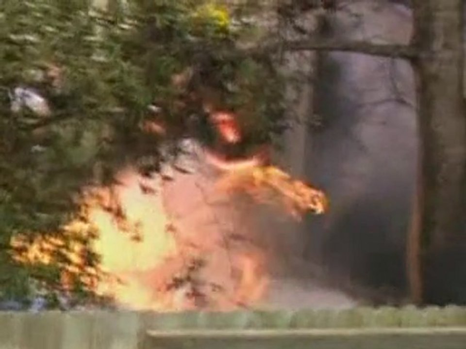 Small plane crashes into house in Florida