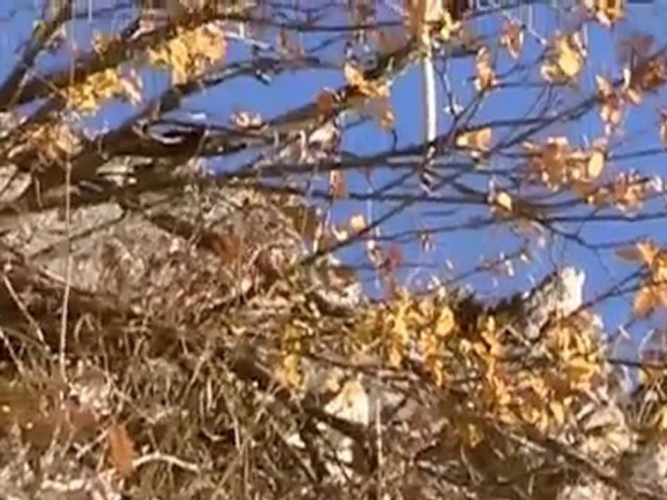 Dans la Via Ferrata des Vigneaux - Hautes-Alpes