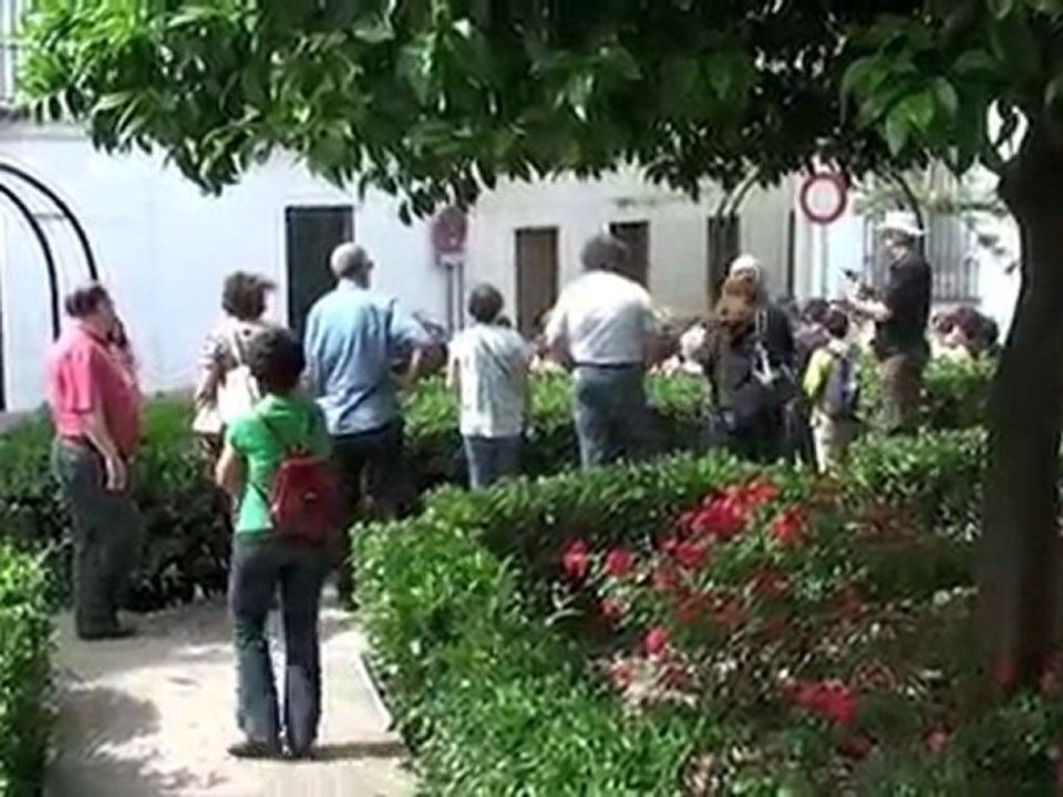 Luth arbi et guitare sévillane