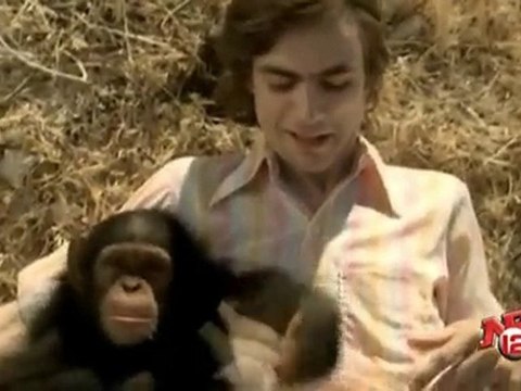 Weezer - Island of the Sun