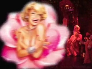 Paradis Latin - Paradis à la folie