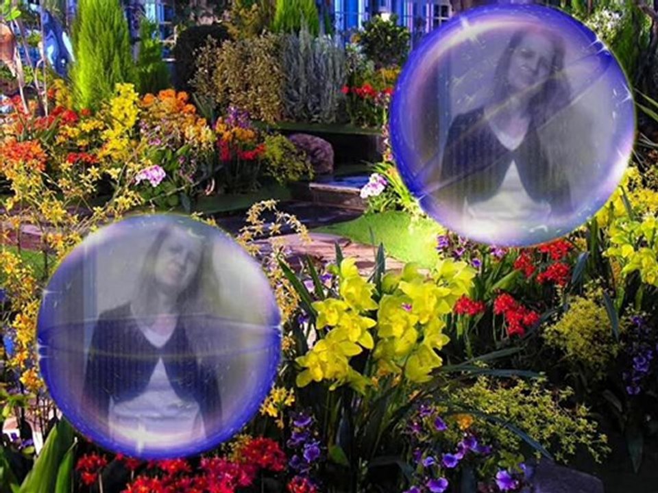 hala décalé