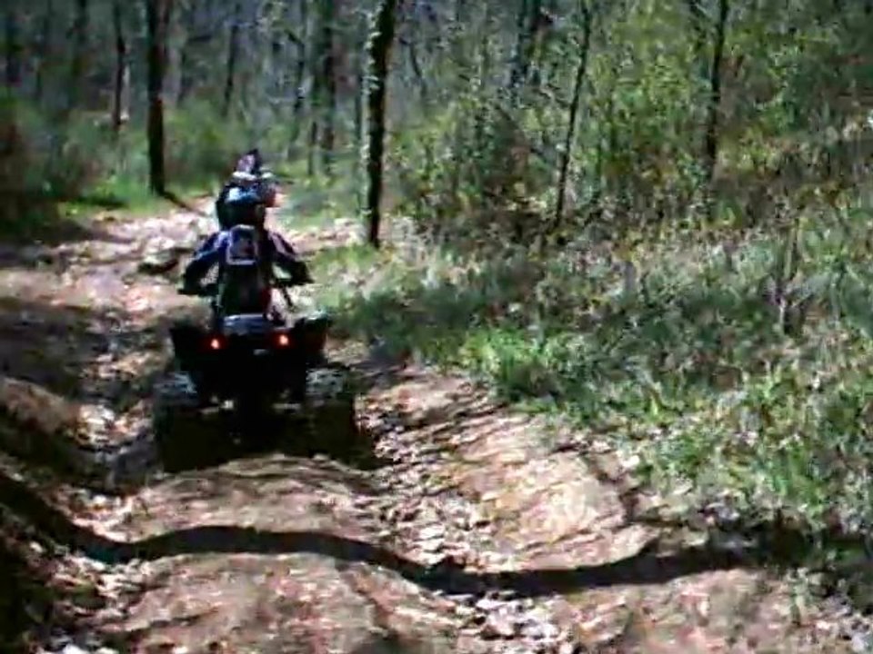 balesta 2010 1