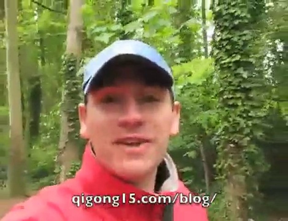Chi Kung Lie Number 4