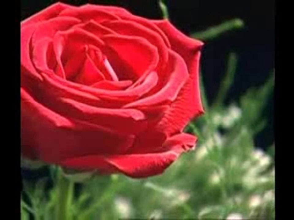 Peygamber Efendimiz (sav) Duaları 3