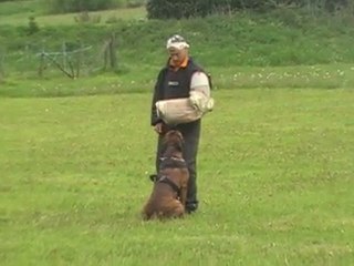 Dolan "Stage RCI Jerome Cavelier