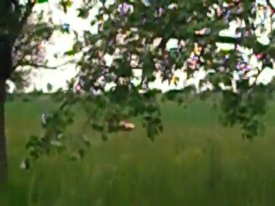 BamBam sur le Can-Am 800 Renegade à Mortif67