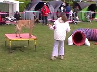 1er degré viper Ingré