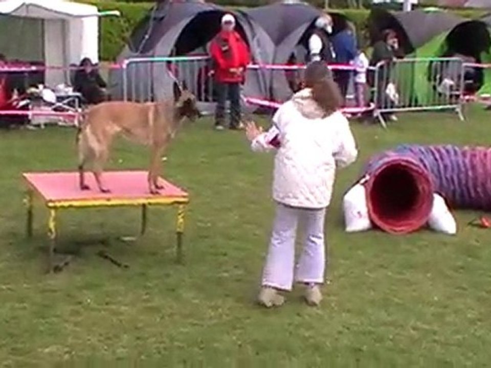 1er degré viper Ingré