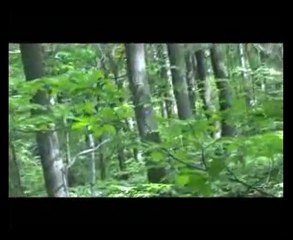 AIRSOFT OP DU 16 MAI