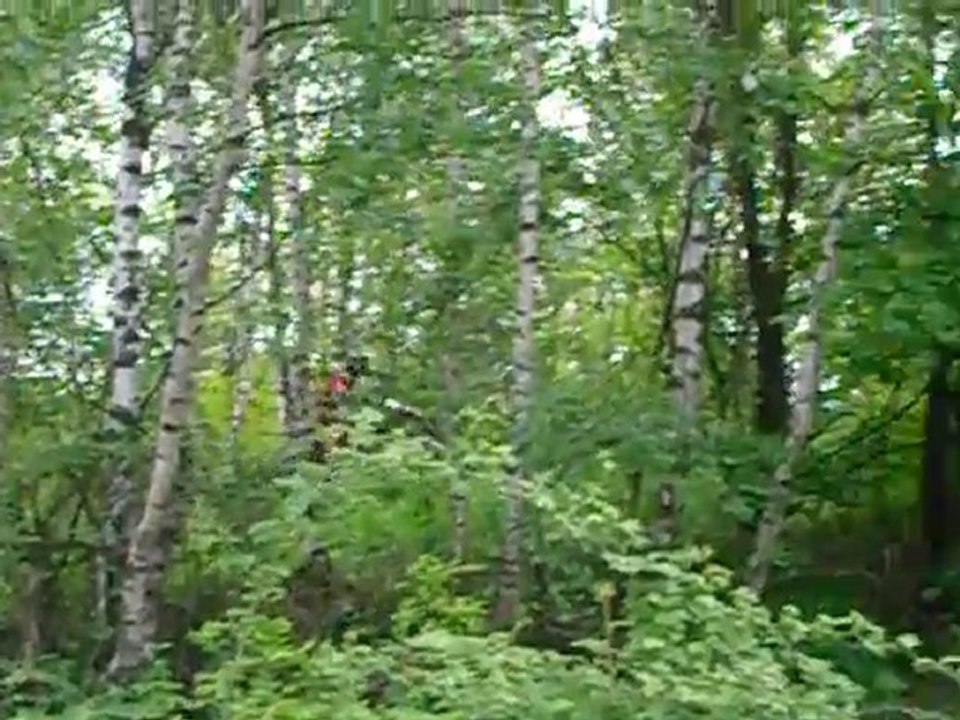 BamBam et son KFX 450 au terrain de Boux