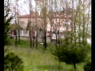 Lafarge Aslan Çimento Kaçakları