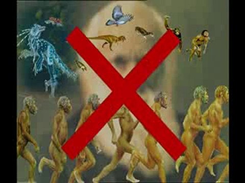 Yaşayan fosiller: Köpekbalığı