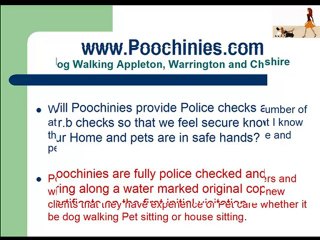 Appleton dog walking company