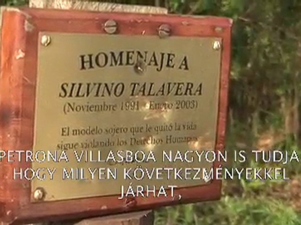 Gyilkos szójamezők