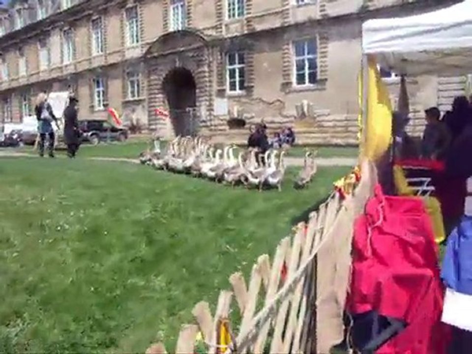 medievales sedan 2010