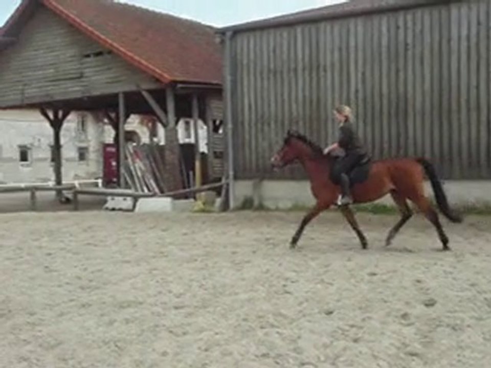 trio galop !!!!