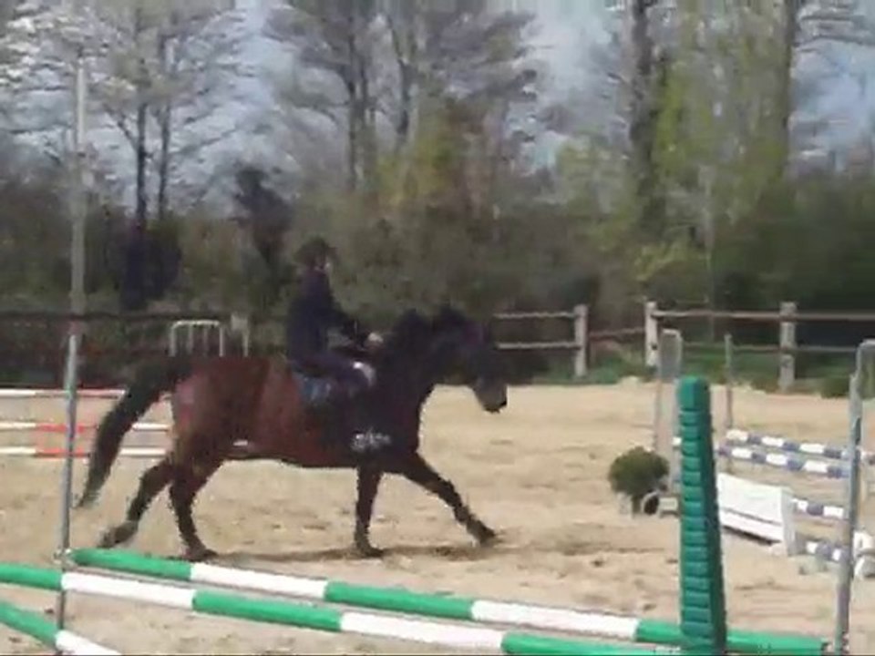 CM & Il Est