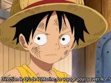 Preview One Piece 452 Vostfr