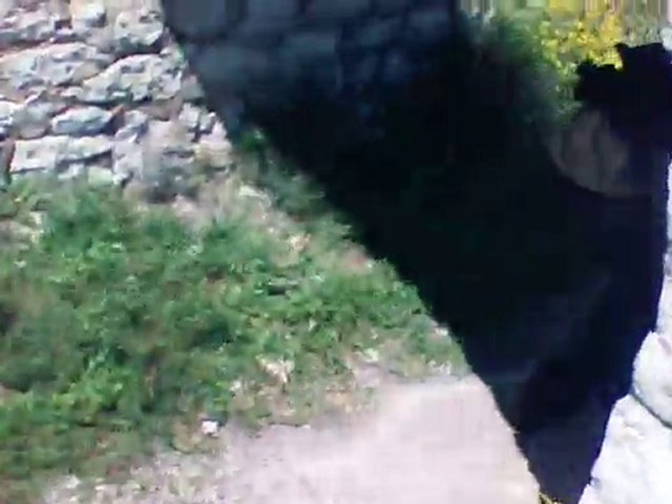 PICT0008