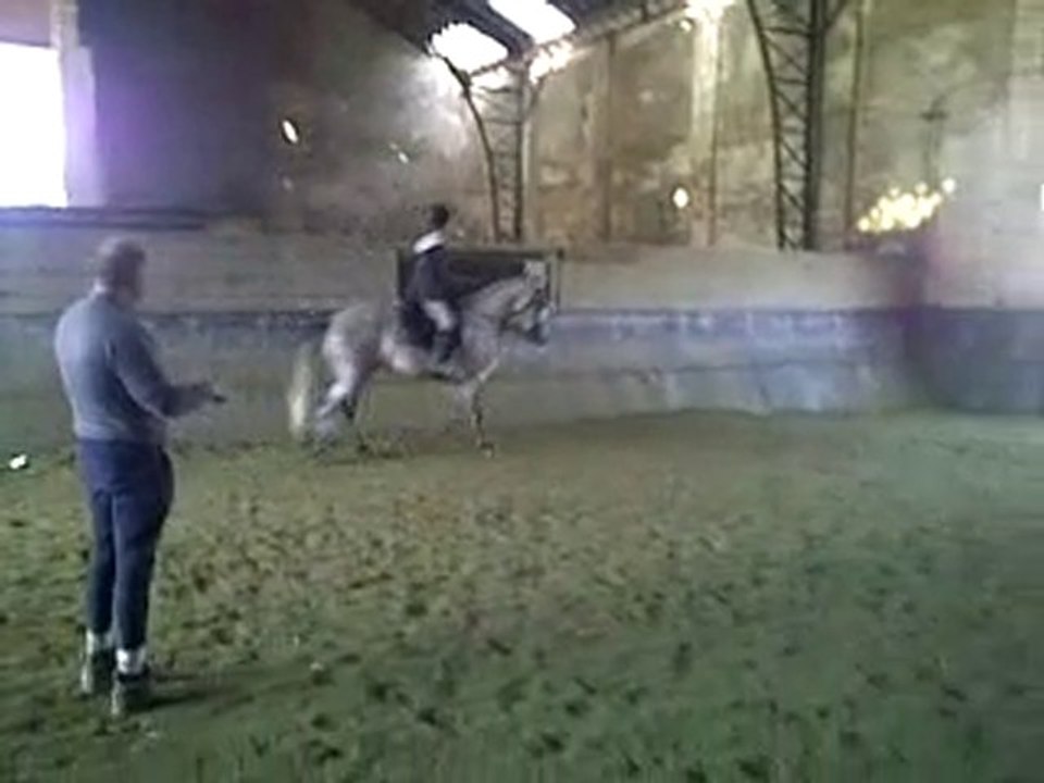 Camille et APRE 6 mois plus tard - trot sur la main