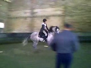 Camille et APRE 6 mois plus tard - galop