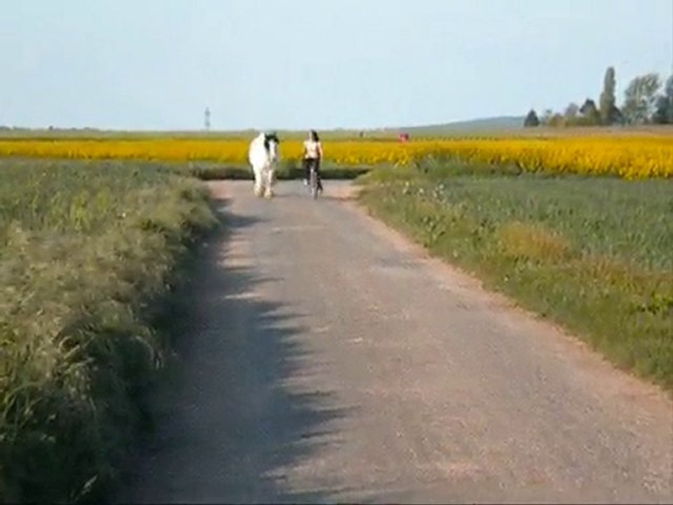 17 mai 2010 balade vélo avec Kaiser