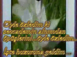 Senai demirci-yandım kül oldum