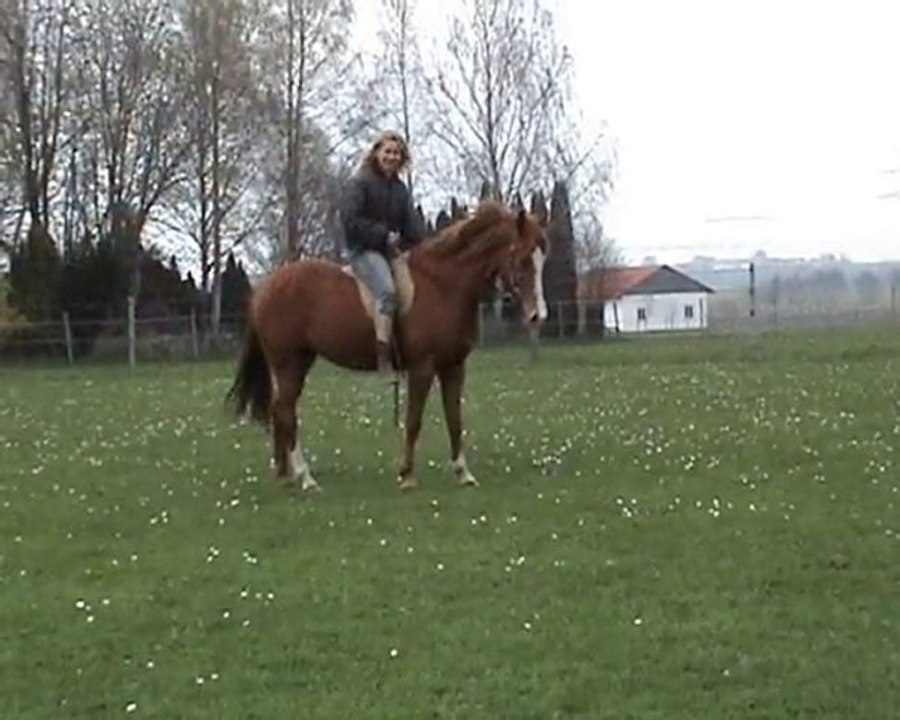franky reiten 18.04.2010