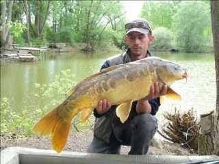 petit diapo debut 2010