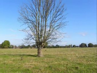 Diaporama musical - année 2009 - 31ème partie