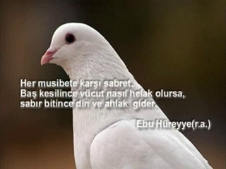 Oguz ft Izam _ Kopre Kalpler 2008