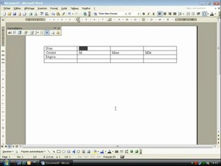 Support Pratique créer un Formulaire avec Word