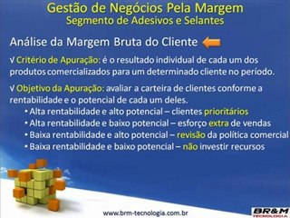 BI do Segmento Adesivos e Selantes - Gestão pela Margem