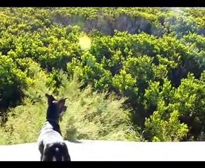 aguas verdes Un dia de sol