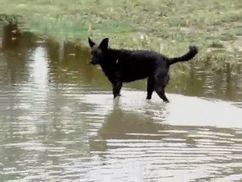Bruma y los sapos en Palermo