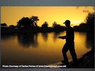 Lake Lanier Fishing Guide: Insider Secrets To Catch Fish