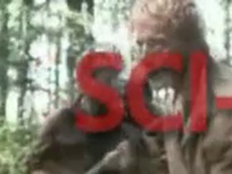 Movies Capital - Legal Unlimited Movie Downloads