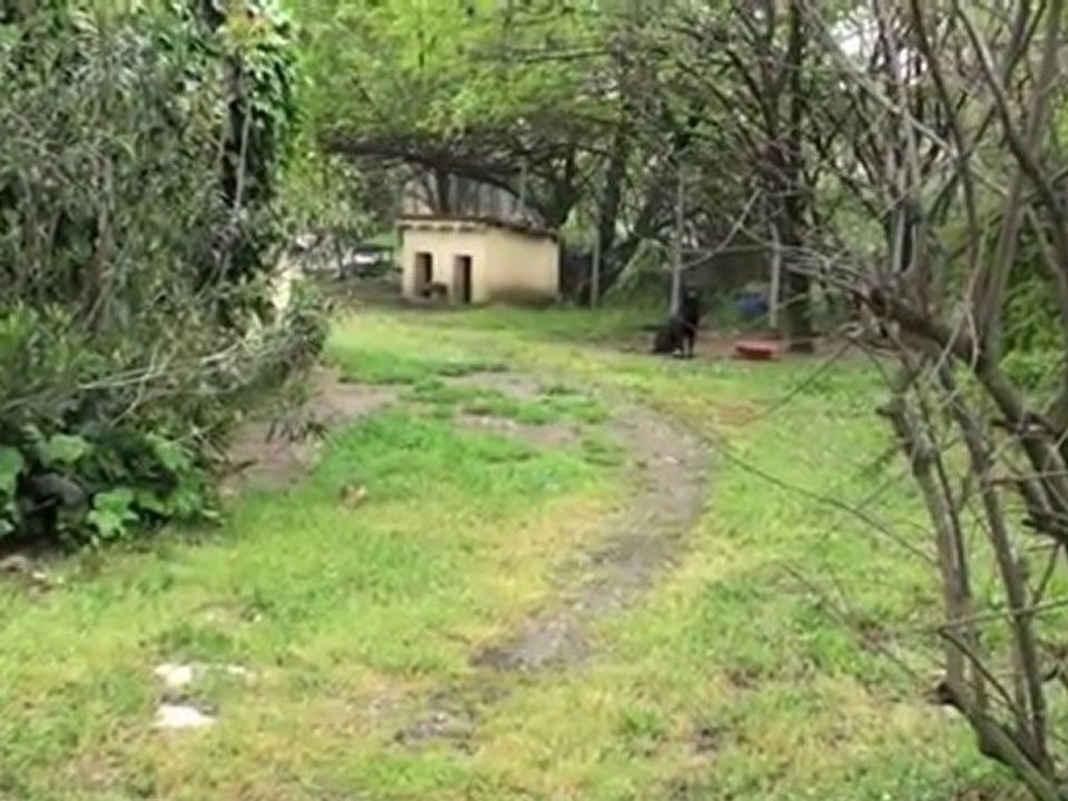 Grèce 1ere partie.mov