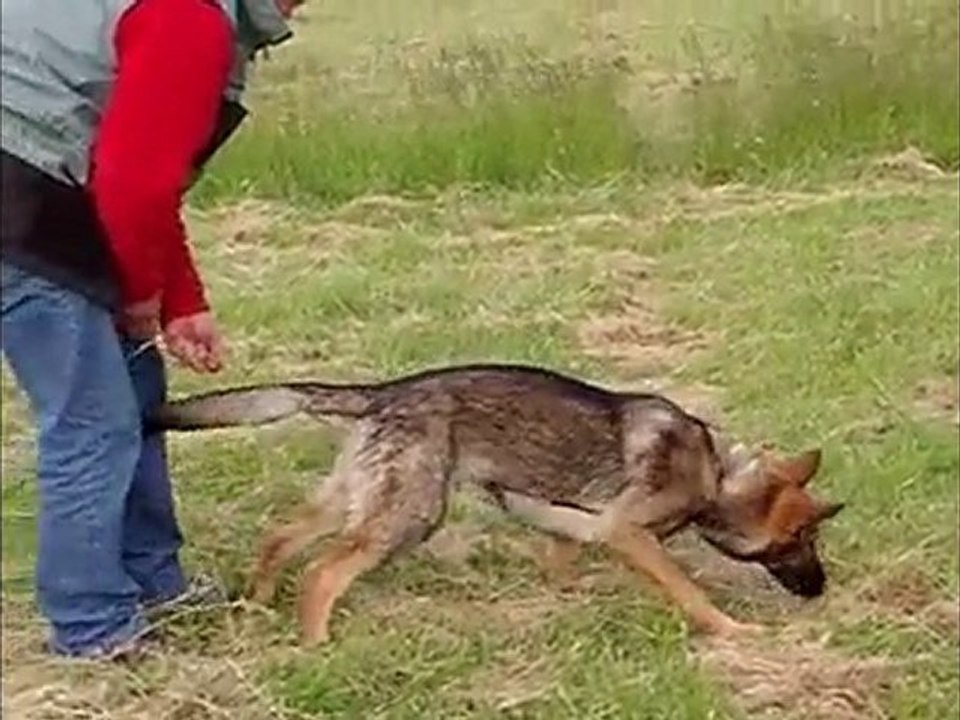 eik des collines du temps :piste du 15 mai 2010